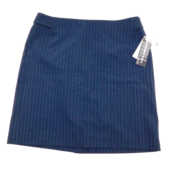 NWT Rafaella 2-Way Stretch Blue Pin-Striped Skirt - Picture 1 of 7